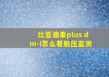 比亚迪秦plus dm-i怎么看胎压监测